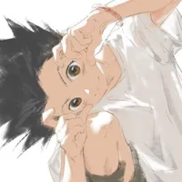 Gon Freecss