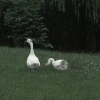 𝑲𝒂𝒚°•|雨|•°