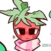 t/g mê sprout