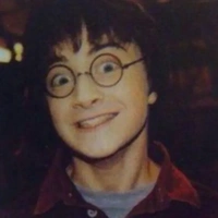 Harry Potter ( 29 )