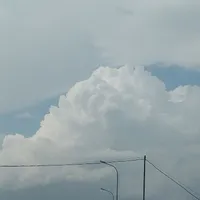 t/g