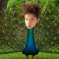 all