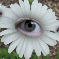 ???