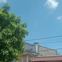 tác giả