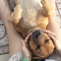 T/G bị trầm ai chính