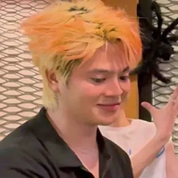 Tờ Meo