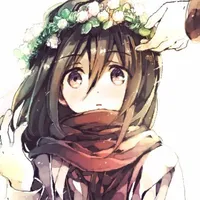 mikasa