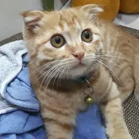 tạc giả đay các bảo bối 😘