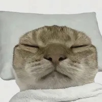 ????