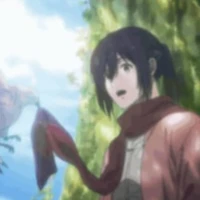 mikasa ackerman