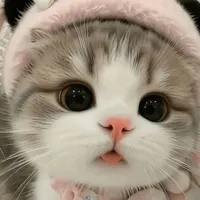 Zyyy