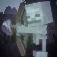 Skeleton