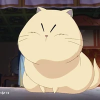 Mimi