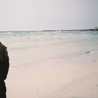 ? ? ?