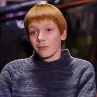『 Frederick Gideon Weasley - Fred 』