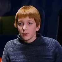 『 George Fabian Weasley 』