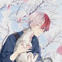 Todoroki Shoto(Shoto)