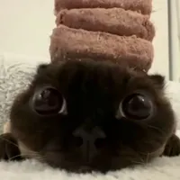 ???