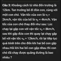 Tác giả 