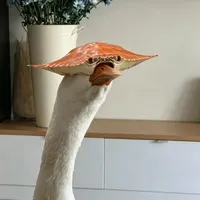 Tác giả trâuu