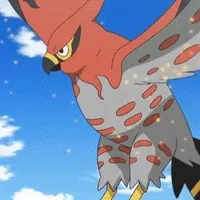 Faiaroo - Suzuki
