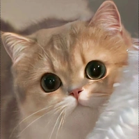 T/g Quỳnh_138