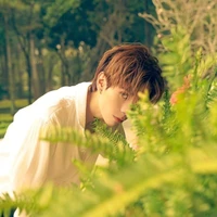 ʟᴇ̂ ǫᴜᴀɴɢ ʜᴜ̀ɴɢ - ǫᴜᴀɴɢ ʜᴜ̀ɴɢ ᴍᴀsᴛᴇʀᴅ