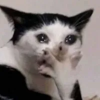t/g
