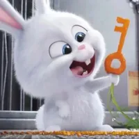 Snowball