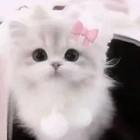All (trừ ai ko có ở đó)