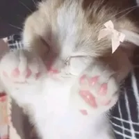 tác giả