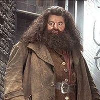 Rubeus Hagrid