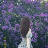 Huỳnh Thiên An - Kẻ Hùa Theo