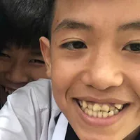 Viết Vũ