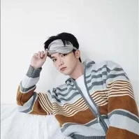 vương bình  _ voi con