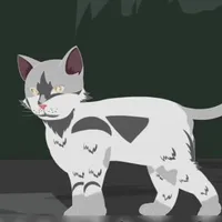 Mèo trắng Lucie