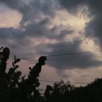 cả lớp ( trừ ai cần trừ)