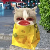 hệ thống 007