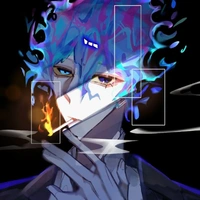 hiha des