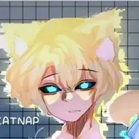 hiha anti catnap