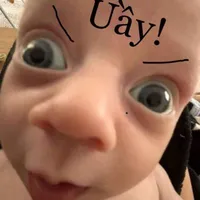 tác giả ngôn lù🤓☝️