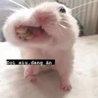 all trừ ai thì trừ