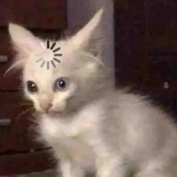 quyên