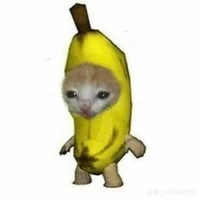 ánh