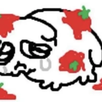 t. tùng