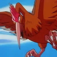 Fearow Pokemon
