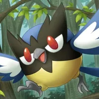 Rookidee Pokemon 