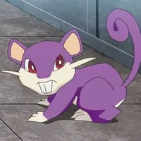 Rattata Pokemon 