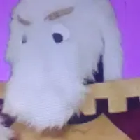 ông dê