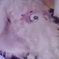 bà dê